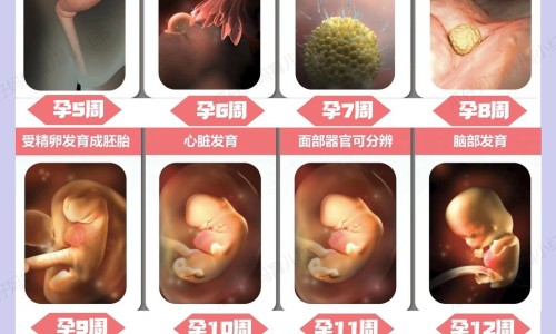 早孕吃黄体酮胶囊吗有影响吗、怀孕早期吃黄体酮对胎儿有伤害吗 -早孕吃黄体酮胶囊吗网