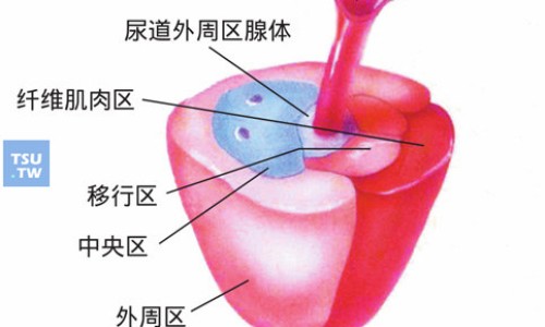 早孕吃黄体酮胶囊的作用-早孕吃黄体酮胶囊吗有影响吗、怀孕早期吃黄体酮对胎儿有伤害吗 -早孕吃黄体酮胶囊吗网